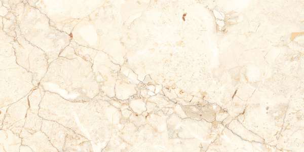 Glazed Porcelain Tiles - 600 x 1200 mm ( 24 x 48 inch ) - 1112-1