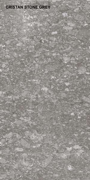 PGVT & GVT - 600 x 1200 mm ( 24 x 48 inci ) - CRISTAN STONE GREY P1