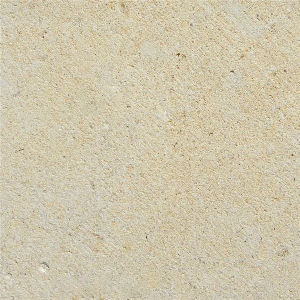 Austin Limestone