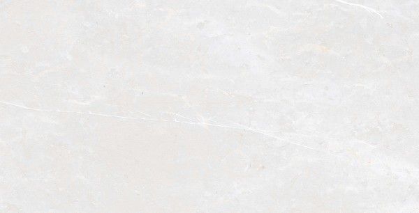 Glazed Porcelain Tiles - 600 x 1200 mm ( 24 x 48 inch ) - ADS_BZ_3111199_5_R1