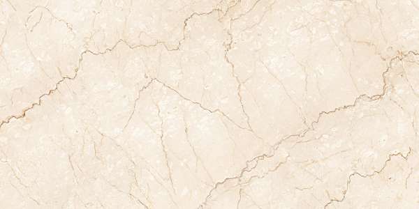 PGVT & GVT - 600 x 1200 mm (24 x 48 inci) - BOTOCHINO BEIGE_01