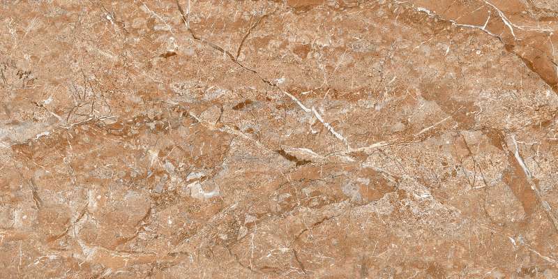 Wall Tiles - 300 x 600 mm ( 12 x 24 inch ) - 5207_HL1_PHOTO FARME