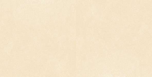 Glazed Porcelain Tiles - 600 x 1200 mm ( 24 x 48 inch ) - MYSTIC LIGHT R1