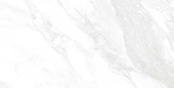 Glazed Porcelain Tiles - 600 x 1200 mm ( 24 x 48 inch ) - CARRARA BIANCO_01