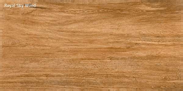 Glazed Porcelain Tiles - 600 x 1200 mm ( 24 x 48 inch ) - Royal Sky Wood