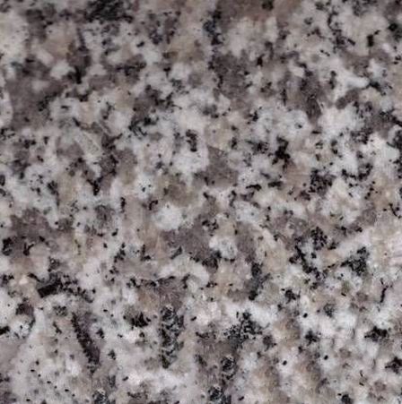 Snow Grey Granite