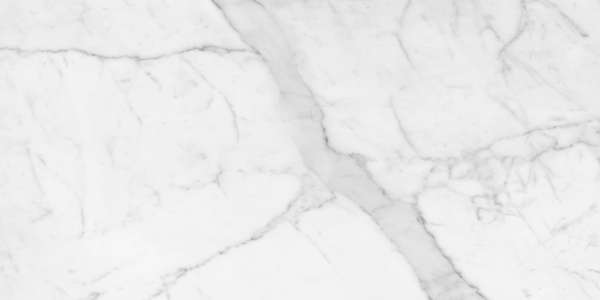 pavimento gres porcellanato - 600 x 1200 mm (24 x 48 pollici) - MARMI BIANCO_01