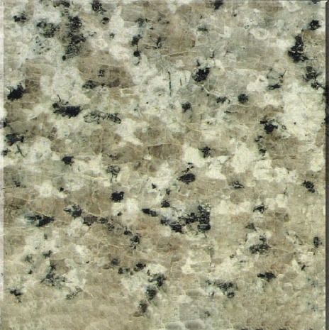 Gastrodia White Granite