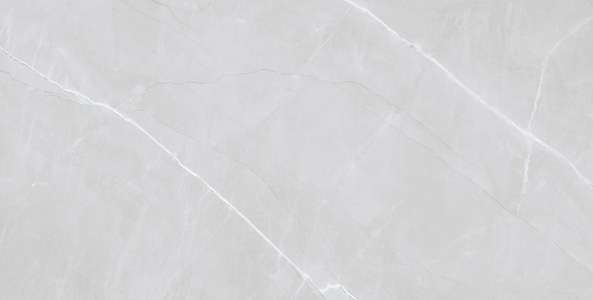 carrelage porcelanosa - 600 x 1200 mm ( 24 x 48 pouces ) - EMBRACE SILVER R1