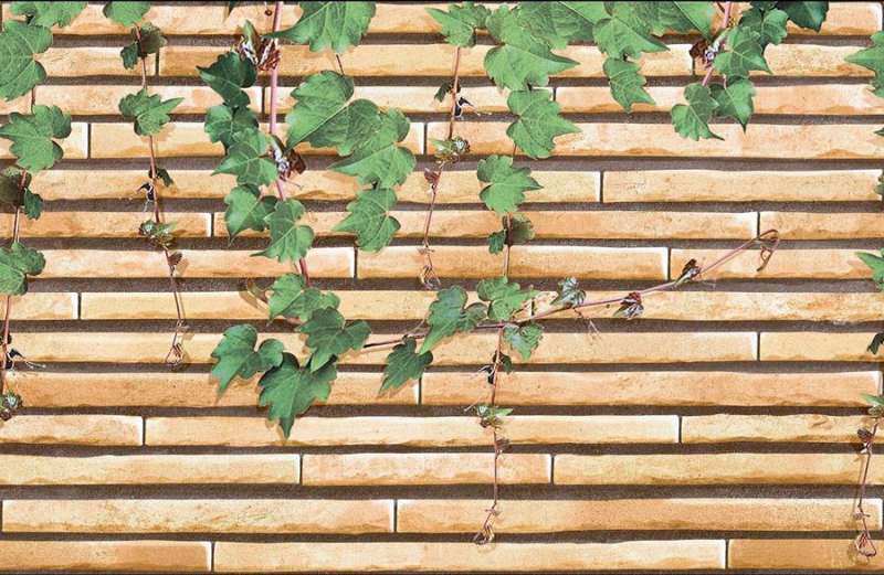 Exterior / Elevation Tiles - 300 x 450 mm  ( 12 x 18 inch ) - 1486-HL-1A