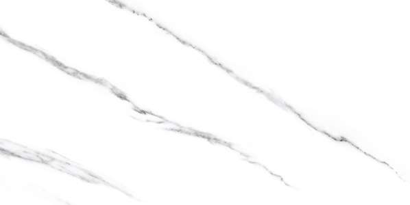 pavimento gres porcellanato - 600 x 1200 mm (24 x 48 pollici) - WHITE FANTASY R01