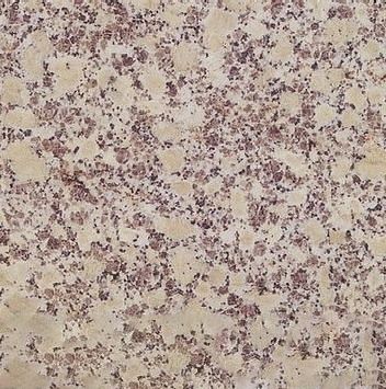 Tuoli Snowflake Granite