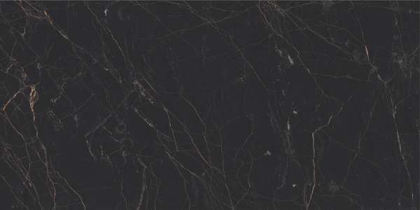 Glazed Porcelain Tiles - 600 x 1200 mm ( 24 x 48 inch ) - jasper-black-1