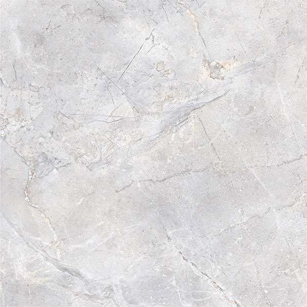 Glazed Porcelain Tiles - 600 x 600 mm ( 24 x 24 inch ) - svpl-2003-1