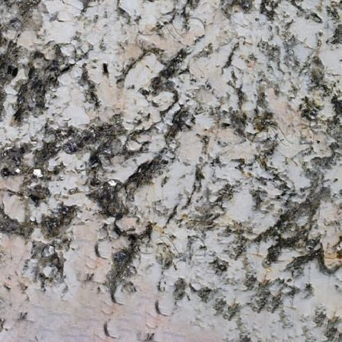 Bianco Rosa Granite