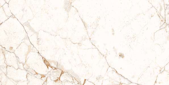 Glazed Porcelain Tiles - 600 x 1200 mm ( 24 x 48 inch ) - ROSSA BIANCO R01