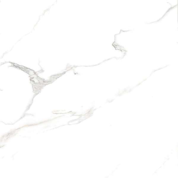 Glazed Porcelain Tiles - 600 x 600 mm ( 24 x 24 inch ) - AGARIA SATVARIO_1