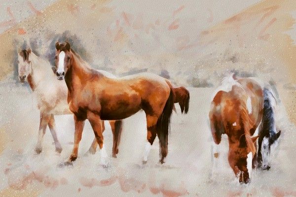 بلاط الحائط - 250 × 375 مم (10 × 15 بوصة) - Horse Print -Digital Wall Tile 250x375mm- P-1055-4pcs