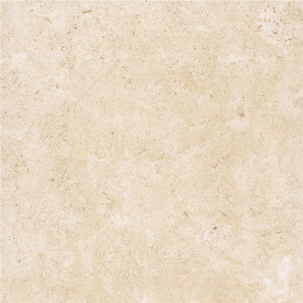 Jerusalem Bone A-16 Limestone