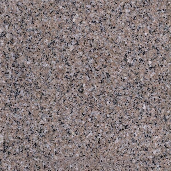 Wild Rose Granite