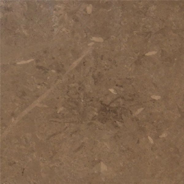 Carthage Brown Marble