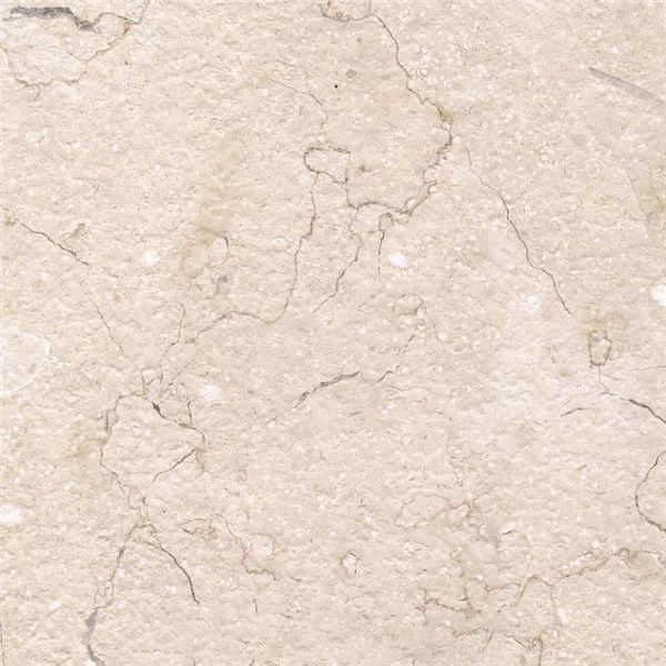 Al Shuyoukh Limestone