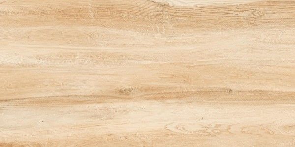 PGVT 및 GVT - 600 x 1200mm(24 x 48인치) - American basswood