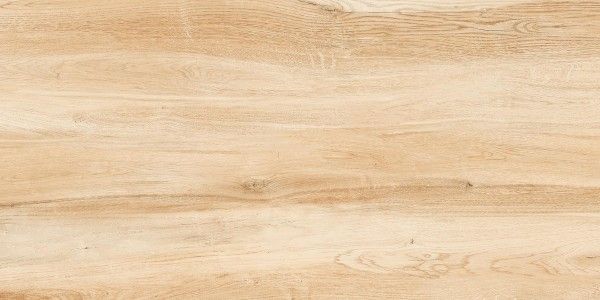 PGVT و GVT - 600 × 1200 میلی متر ( 24 × 48 اینچ ) - American basswood