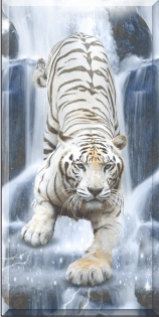 キッチン 壁紙 タイル - 600 x 1200 mm（24 x 48インチ） -  Tiger Photo Tile | 600 x1200 (2x4ft) G-416