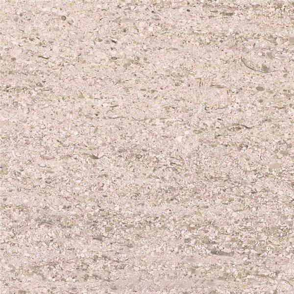 Crema Mocca Limestone