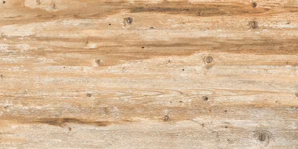 pavimento gres porcellanato - 195 x 1200 mm (8 x 48 pollici) - TIMBER WOOD BROWN_1