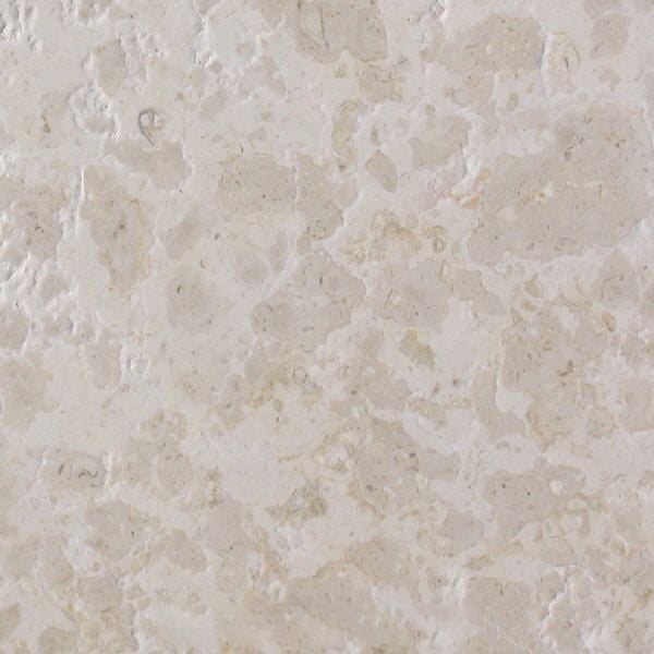 Levant Limestone