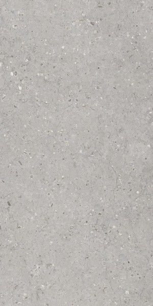 carrelage porcelanosa - 800 x 1600 mm (32 x 64 pouces) - MOZECO GREY_01