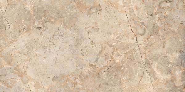 pavimento gres porcellanato - 800 x 1600 mm (32 x 64 pollici) - AMEZIC BROWN_01