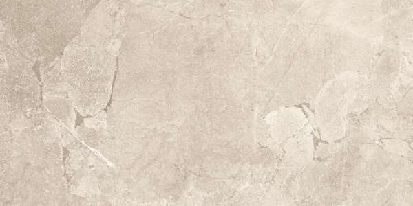 Glazed Porcelain Tiles - 600 x 1200 mm ( 24 x 48 inch ) - ASTRA CEDAR_03