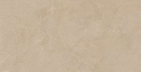 पीजीवीटी और जीवीटी टाइल्स - 600 x 1200 मिमी (24 x 48 इंच) - RUSTICO BEIGE R1