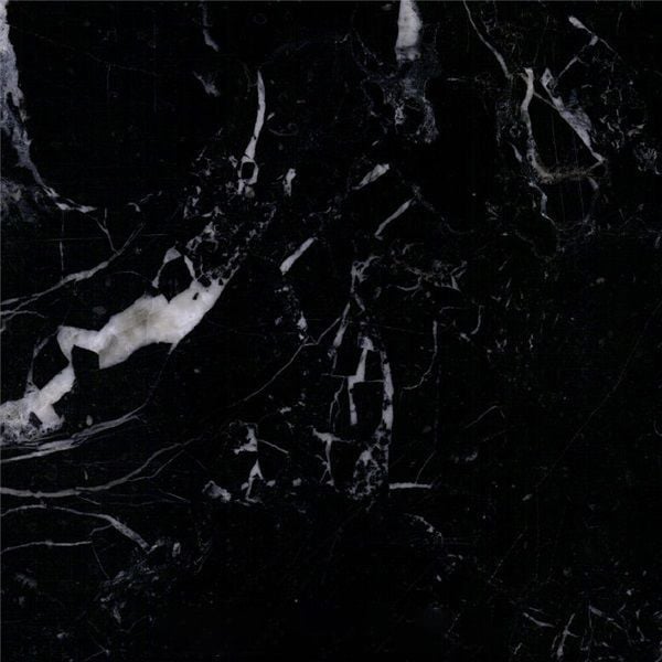 Black Swan Marble