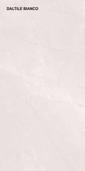 Glazed Porcelain Tiles - 600 x 1200 mm ( 24 x 48 inch ) - DALTILE BIANCO_F1