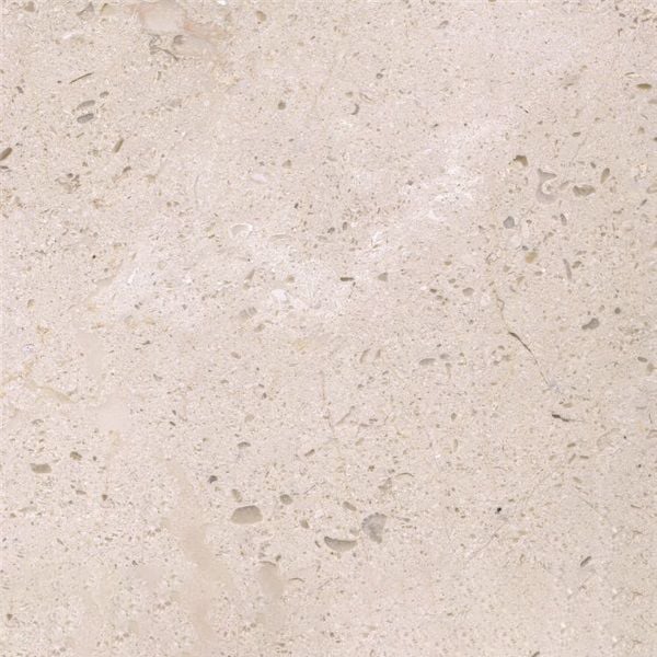 New Butterfly Beige Marble