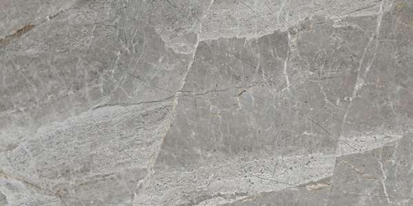 Glazed Porcelain Tiles - 600 x 1200 mm ( 24 x 48 inch ) ( 2 × 4 ft ) - JURASSIC GREY R1