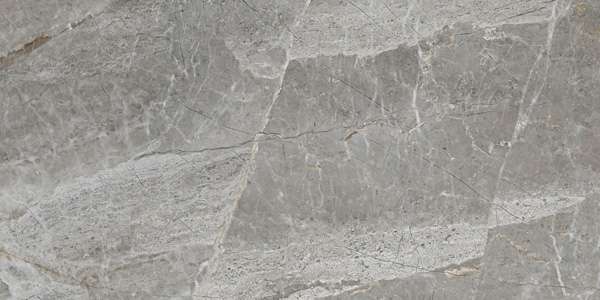 PGVT & GVT - 600 x 1200 mm (24 x 48 လက်မ) - JURASSIC GREY R1