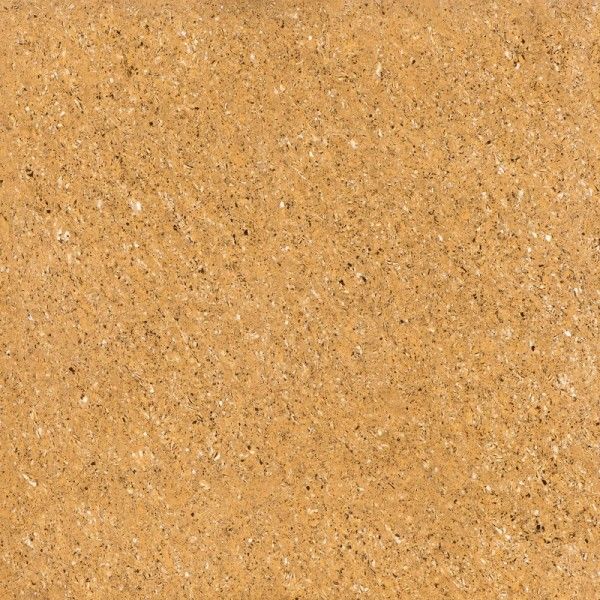 Double agbara Vitrified Tiles - 800 x 800 mm (32 x 32 inch) - PHENTOM ALMOND