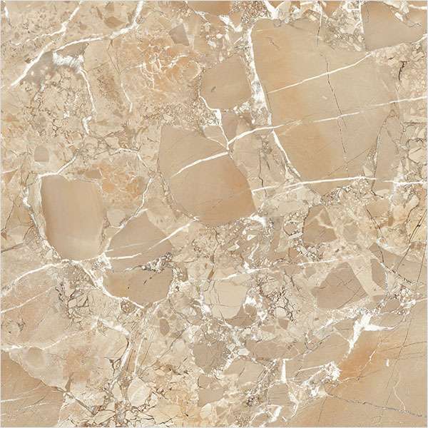 Glazed Porcelain Tiles - 600 x 600 mm ( 24 x 24 inch ) - sylvan-natural-dark