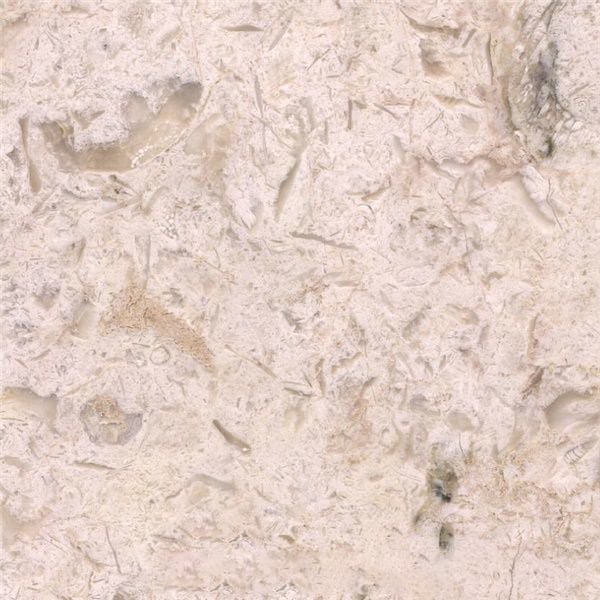 Catania Limestone