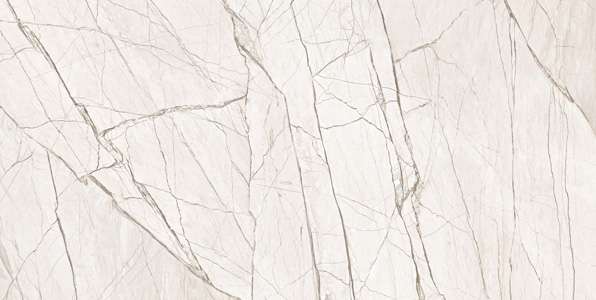 Glazed Porcelain Tiles - 600 x 1200 mm ( 24 x 48 inch ) - 2006 R1