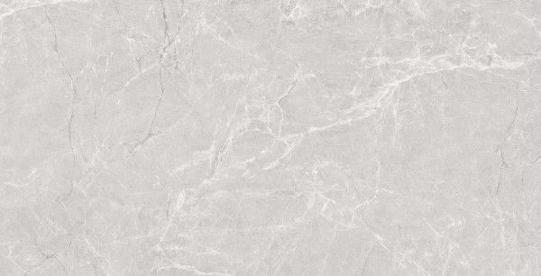 Glazed Porcelain Tiles - 600 x 1200 mm ( 24 x 48 inch ) - ADS_BZ_31111913_6_LT_R1