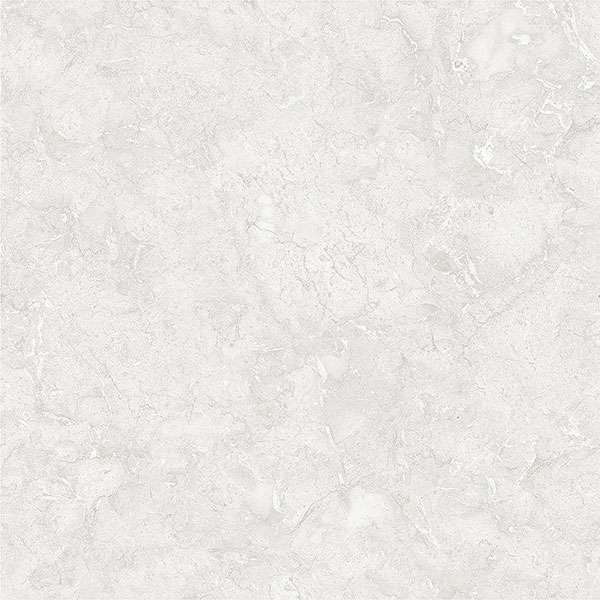 Glazed Porcelain Tiles - 600 x 600 mm ( 24 x 24 inch ) - svpl-2014-1