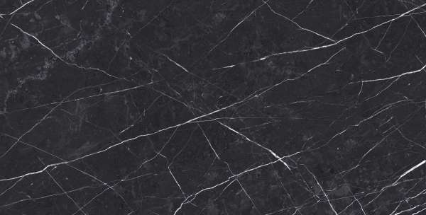 rajoles de porcellana vidriada - 600 x 1200 mm (24 x 48 polzades) - DAYTONA BLACK-R1