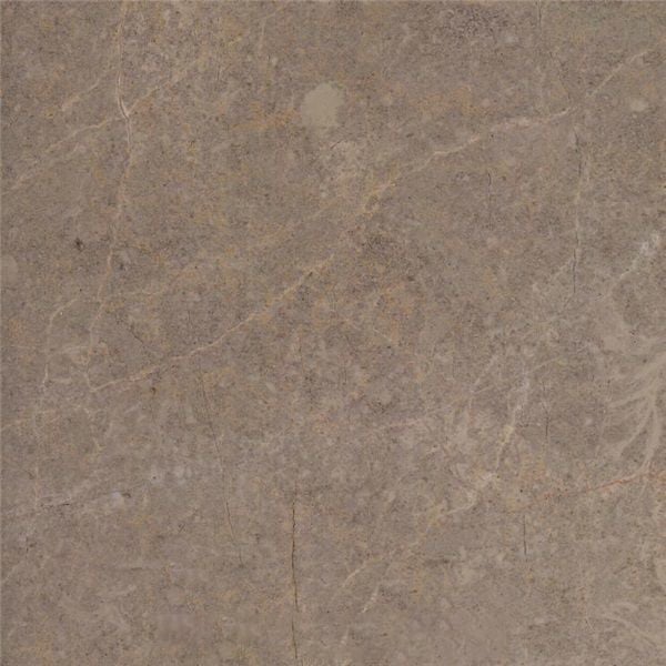 Gaudi Golden Grey Marble