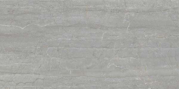 PGVT i GVT - 600x1200mm (24x48 cali) - flamingo-gris-1